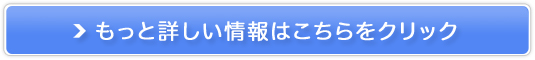vsvIb̃XLPANWOy`F[ p[tFNgNWOWFz̔TCg